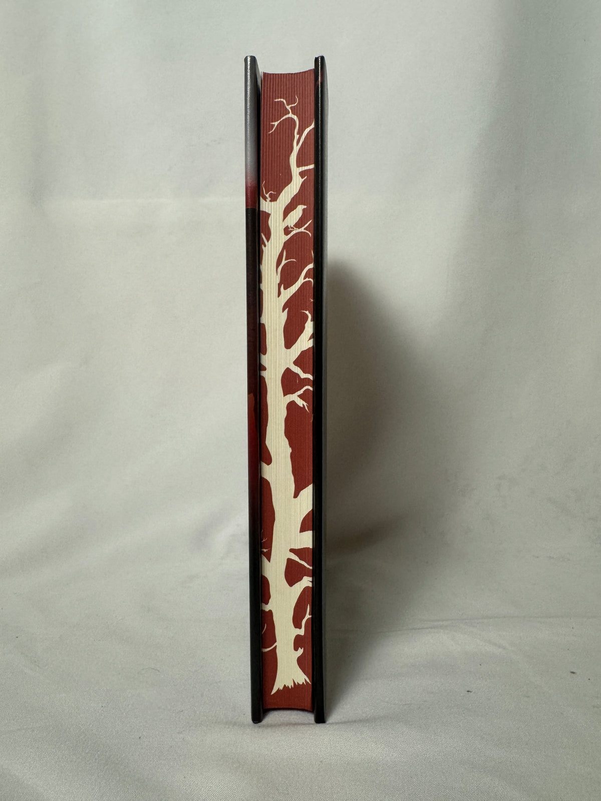 We Live Here Now by Sarah Pinborough limited edition – photo 2