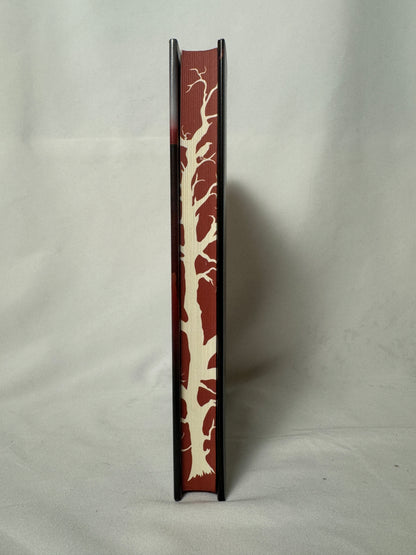 We Live Here Now by Sarah Pinborough limited edition – photo 2