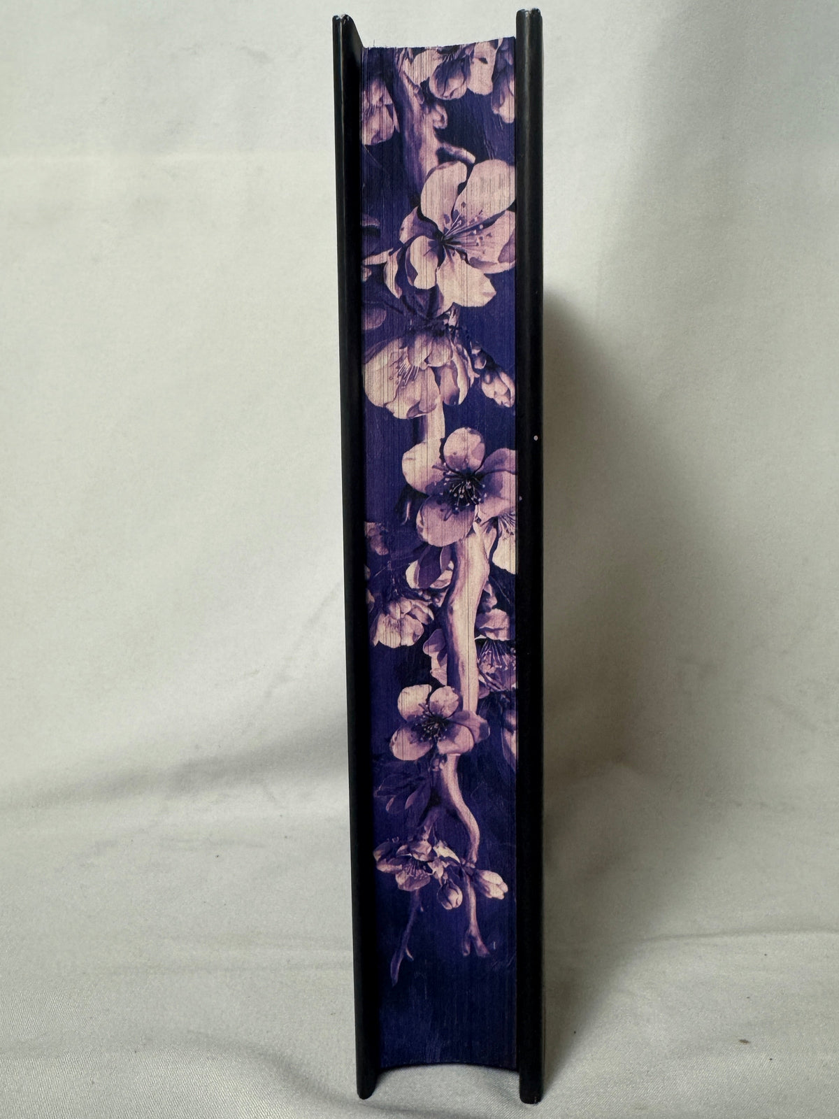 Ruinous Ends by I.V. Marie special edition – photo 2
