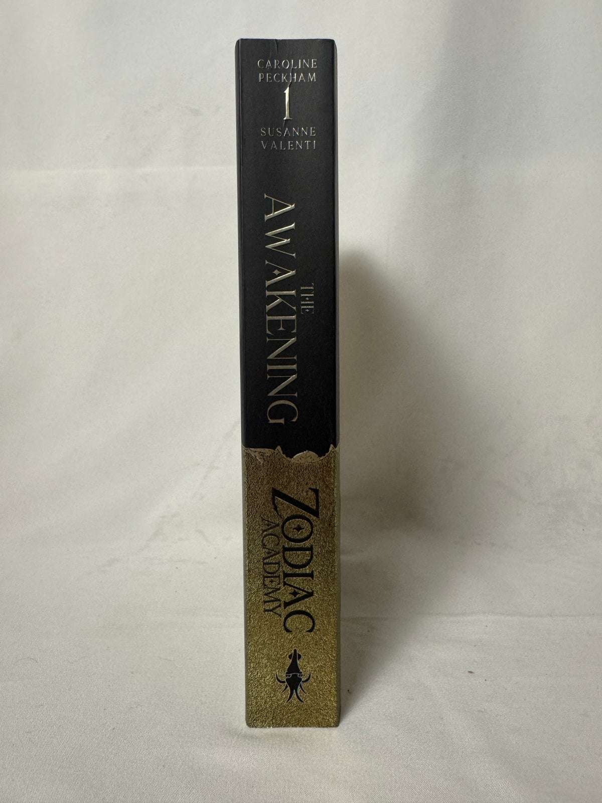 Zodiac Academy 1: The Awakening paperback – photo 3