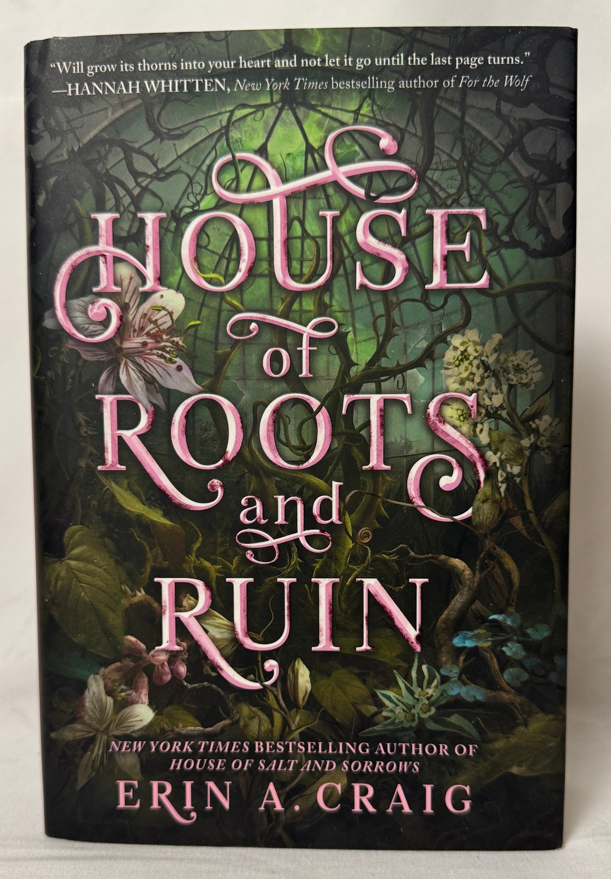 Cover of House of Roots and Ruin (Sisters of the Salt) by Erin A. Craig, Hardcover