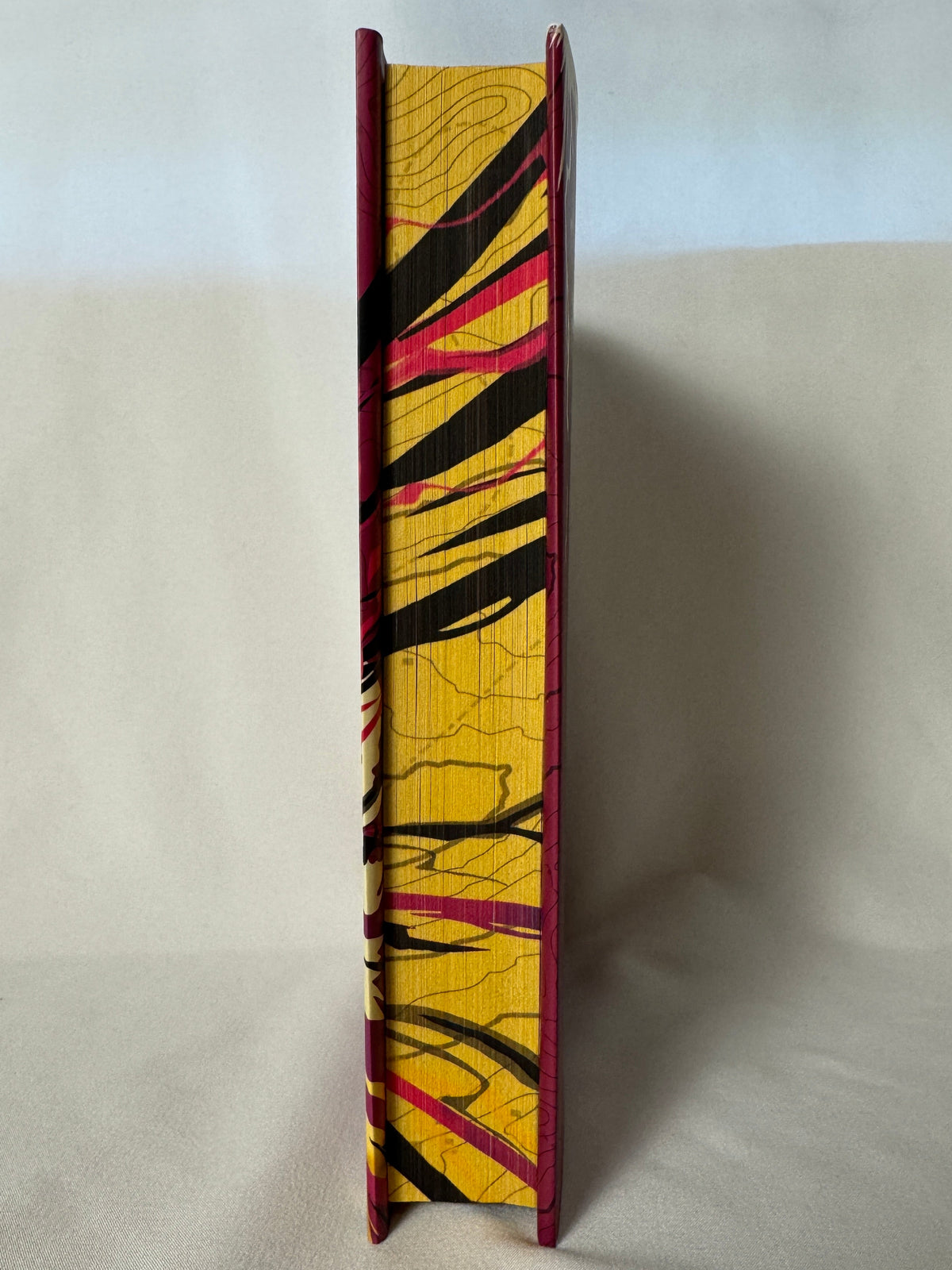 Storm Caller by Nisha J. Tuli deluxe edition – photo 2