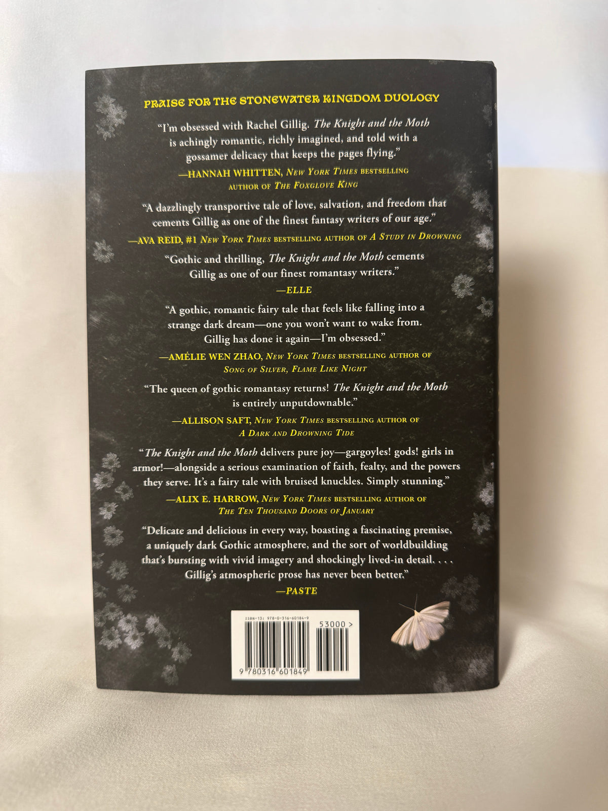 The Knave and the Moon by Rachel Gillig hardcover – photo 2