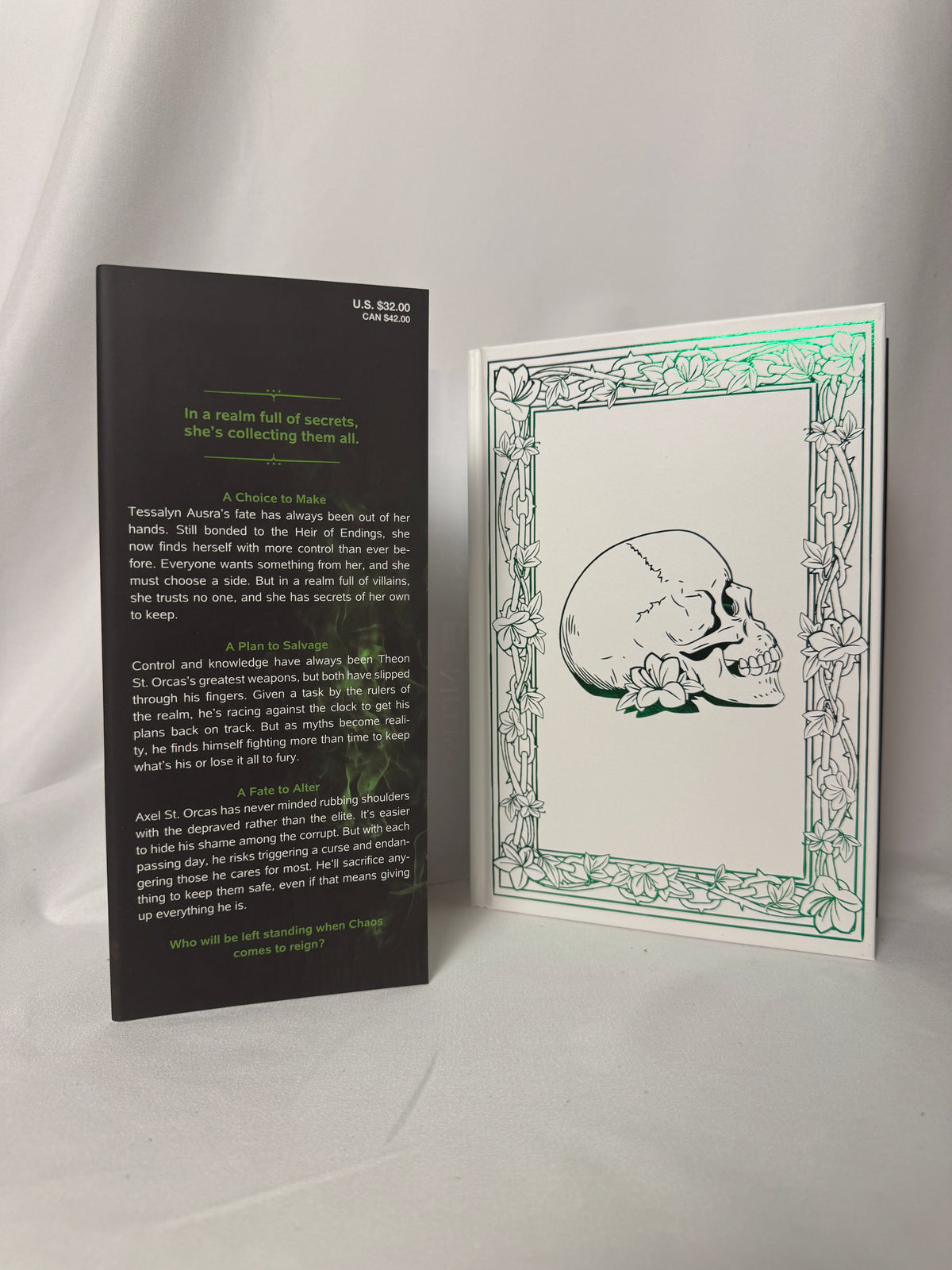 Storm of Secrets and Sorrow deluxe edition – photo 2