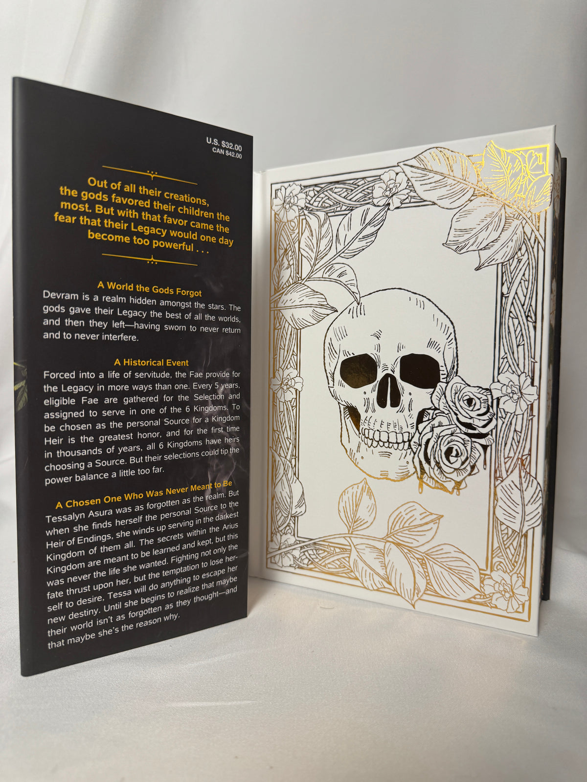 Rain of Shadows and Endings deluxe edition – photo 3