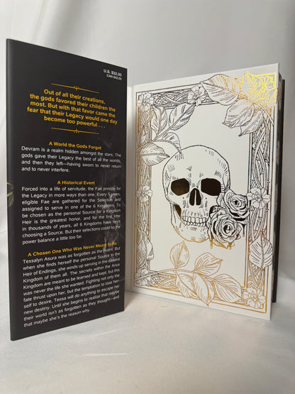 Rain of Shadows and Endings deluxe edition – photo 3