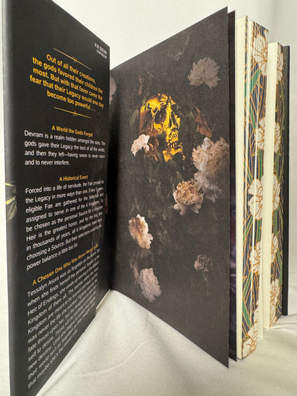 Rain of Shadows and Endings deluxe edition – photo 5