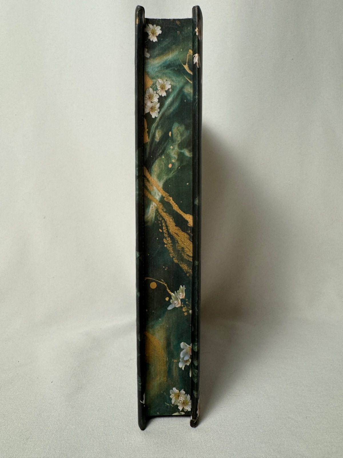 The Lost Guardian by Natalia Hernandez — Deluxe Limited Edition Hardcover