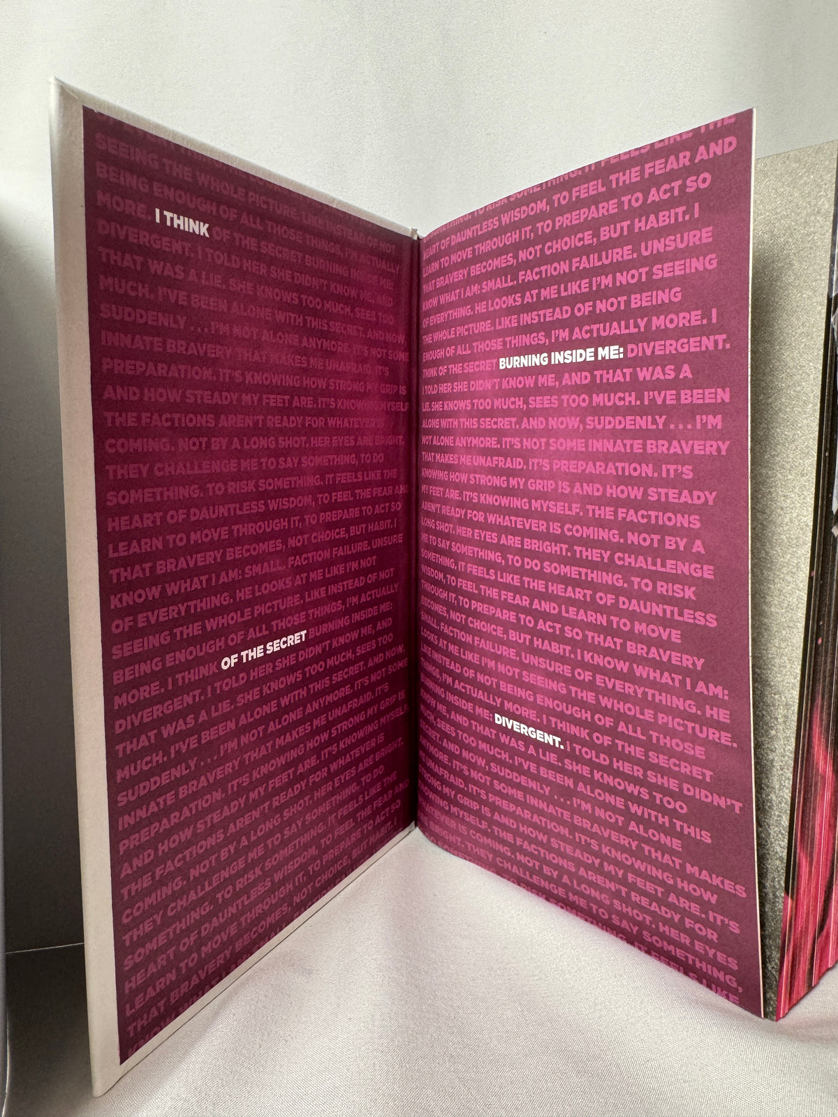 Pen Pal by J.T. Geissinger — Deluxe Limited Edition Hardcover