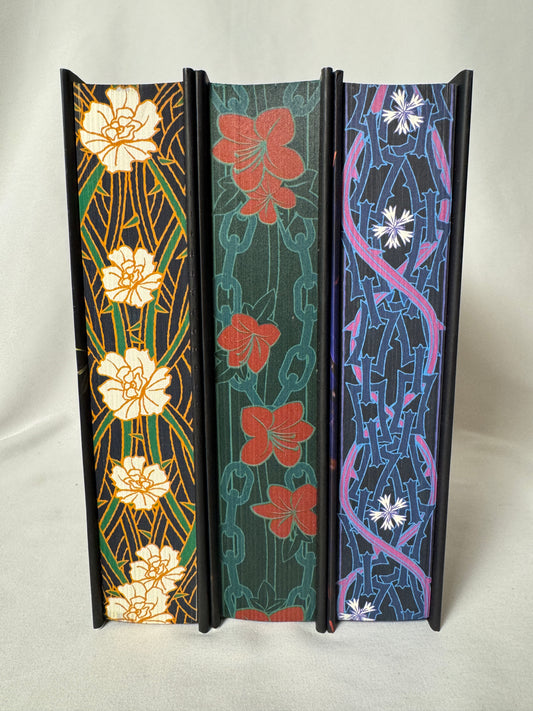 The Legacy Deluxe Trilogy by Melissa K. Roehrich – Books 1–3, Deluxe Hardcovers with Stenciled Edges